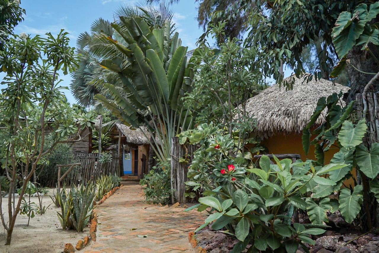 Pousada Rota Dos Ventos Barra Grande  Ngoại thất bức ảnh